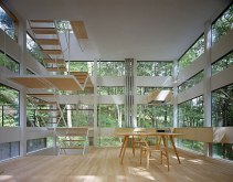 Ring-House-interiors-forest-inside
